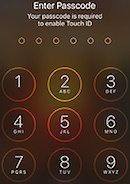 iPhone passcode screen
