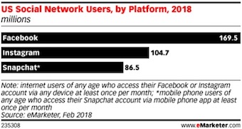 US Social Network Users, by Platform, 2018