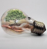Light bulb with tree inside
